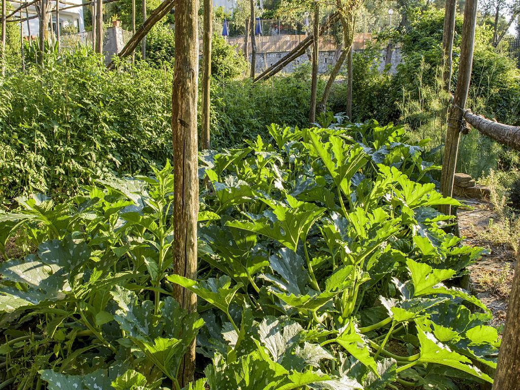 Villa Carolina Sorrento Private Heated Pool And Sea View Extérieur photo