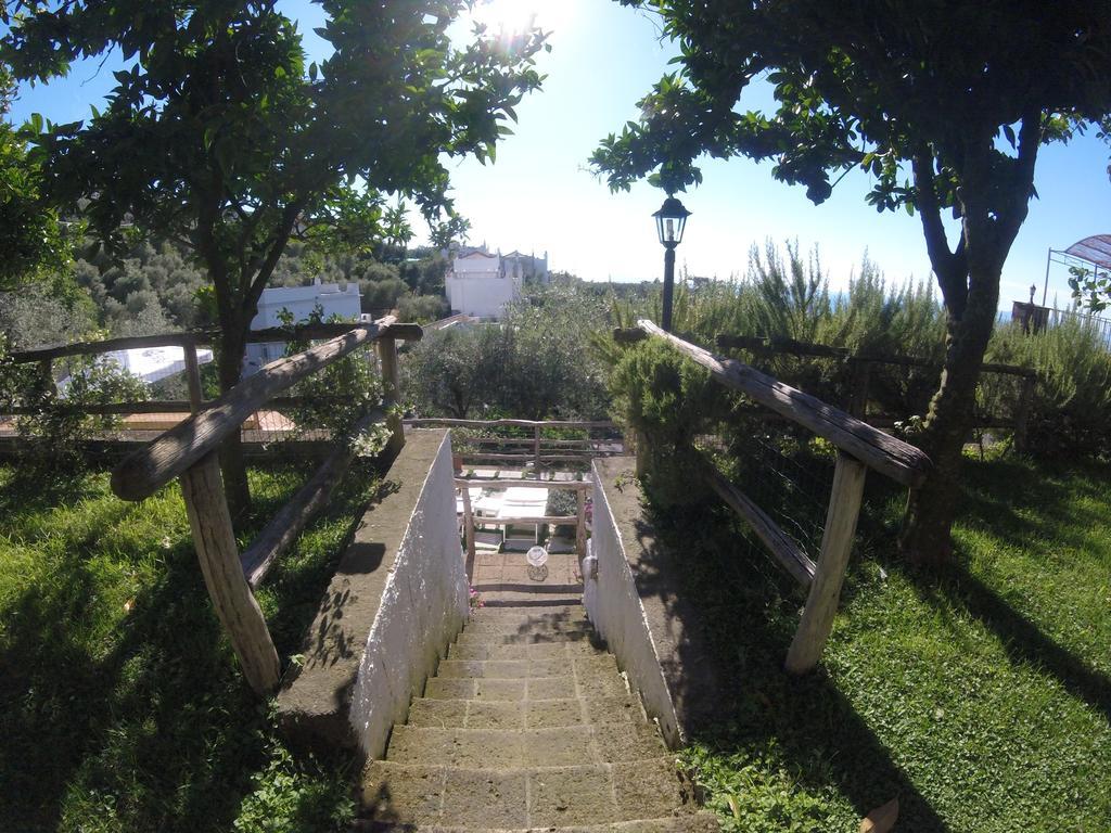 Villa Carolina Sorrento Private Heated Pool And Sea View Extérieur photo